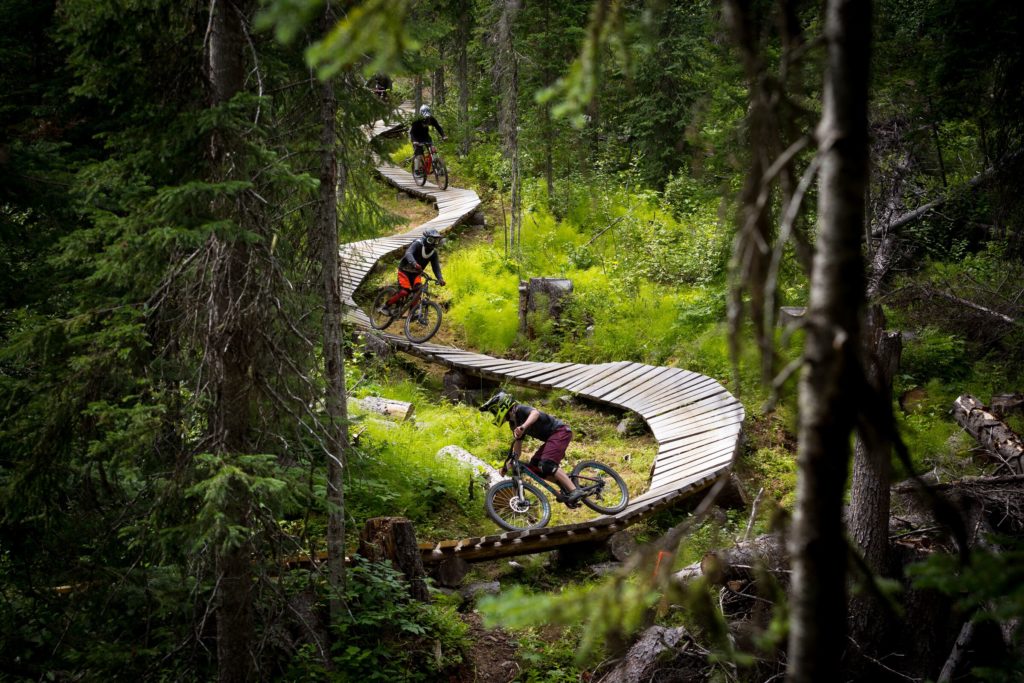 A wooden mountain bike trail winds through dense vegetation. 