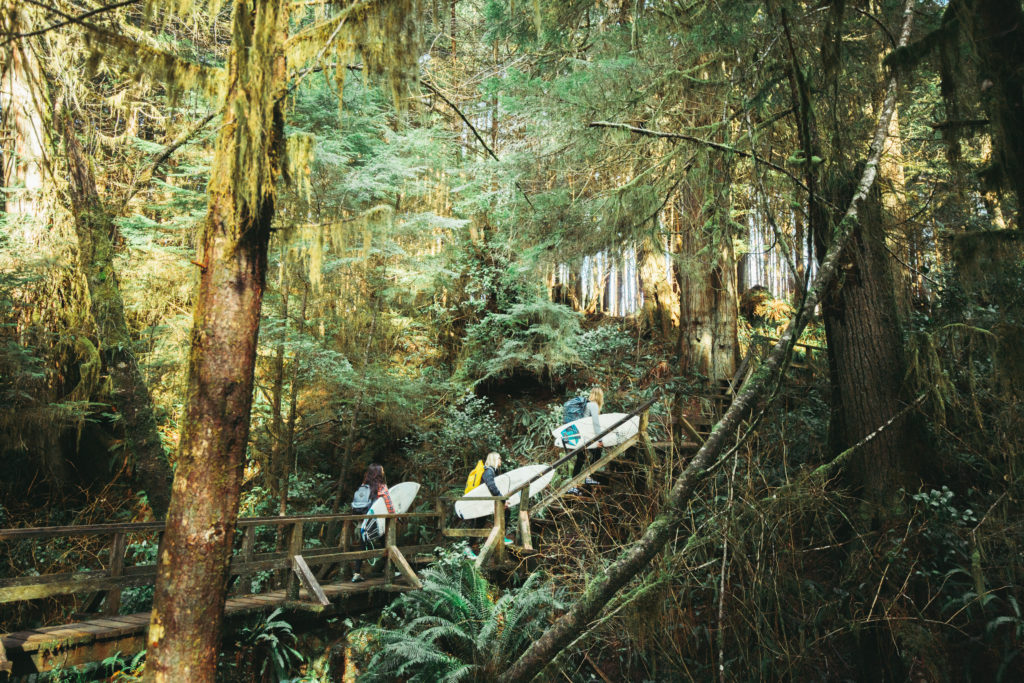 Three women carry surfboards through a dense forest.
