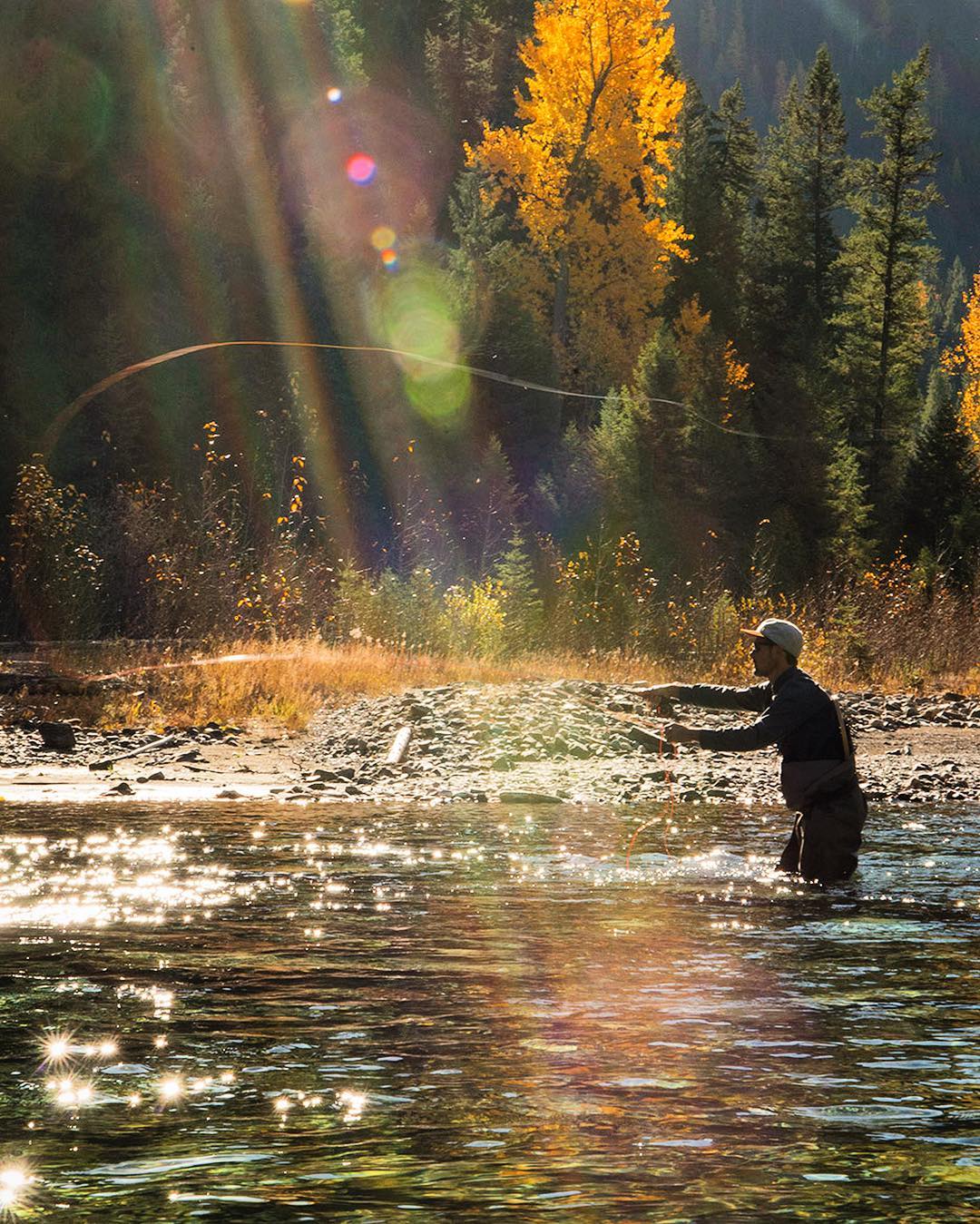 Zen moments on fall streams near Fernie