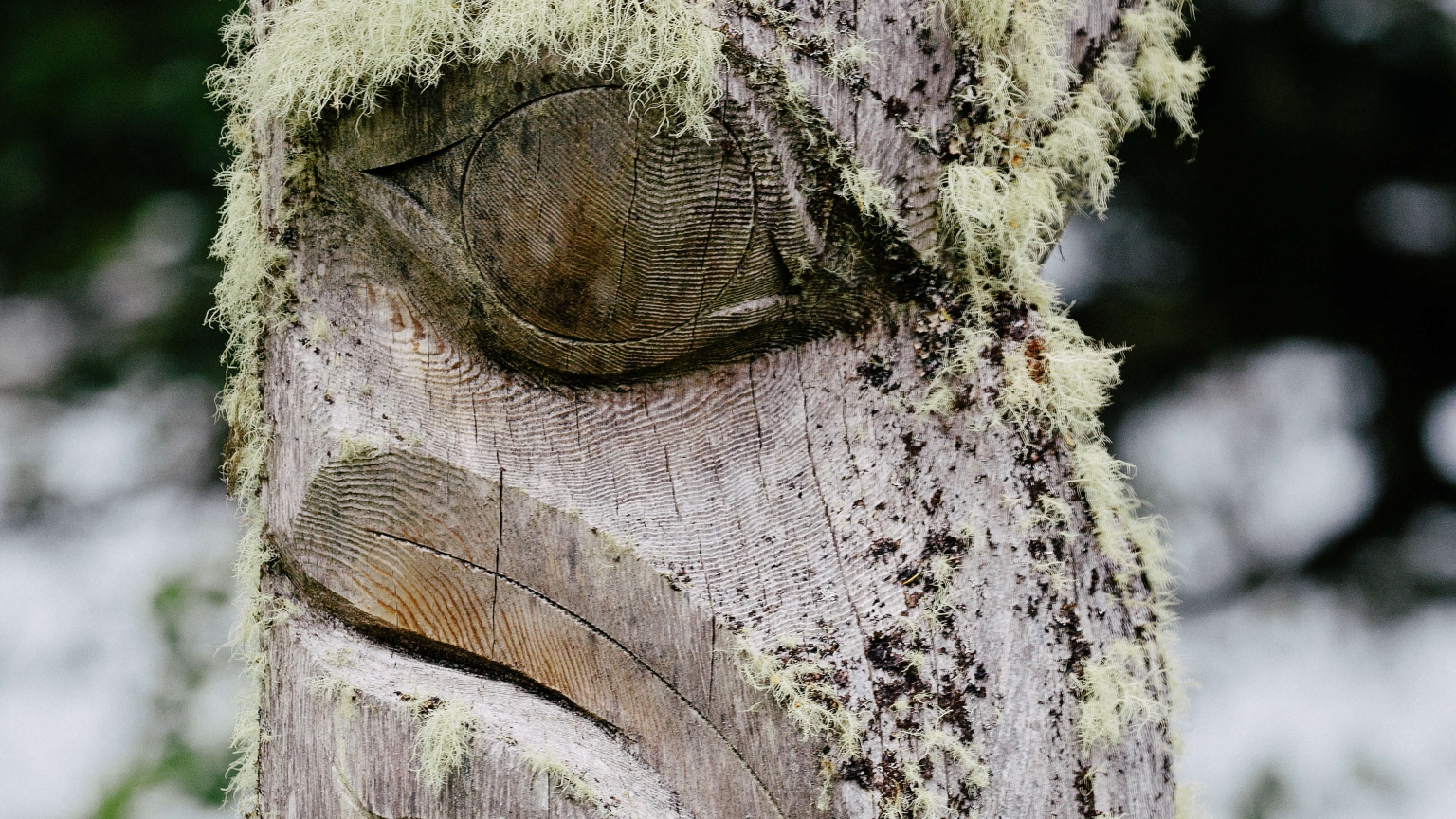 Close-up of a weathered totem pole with moss