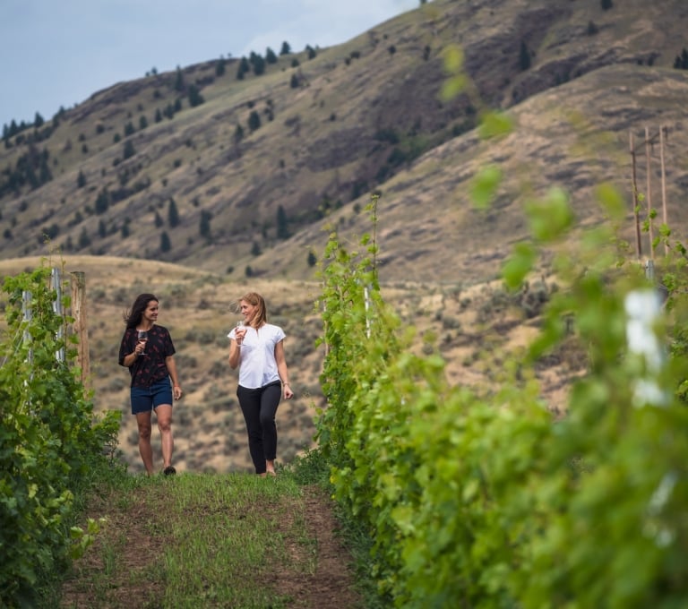 Two women walk through a vineyard with a glass of wine