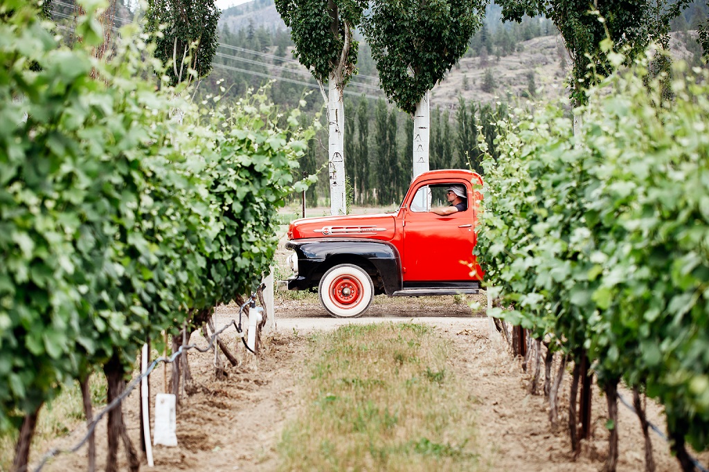 7 Delicious Ways to Fall For the Okanagan in Harvest Season