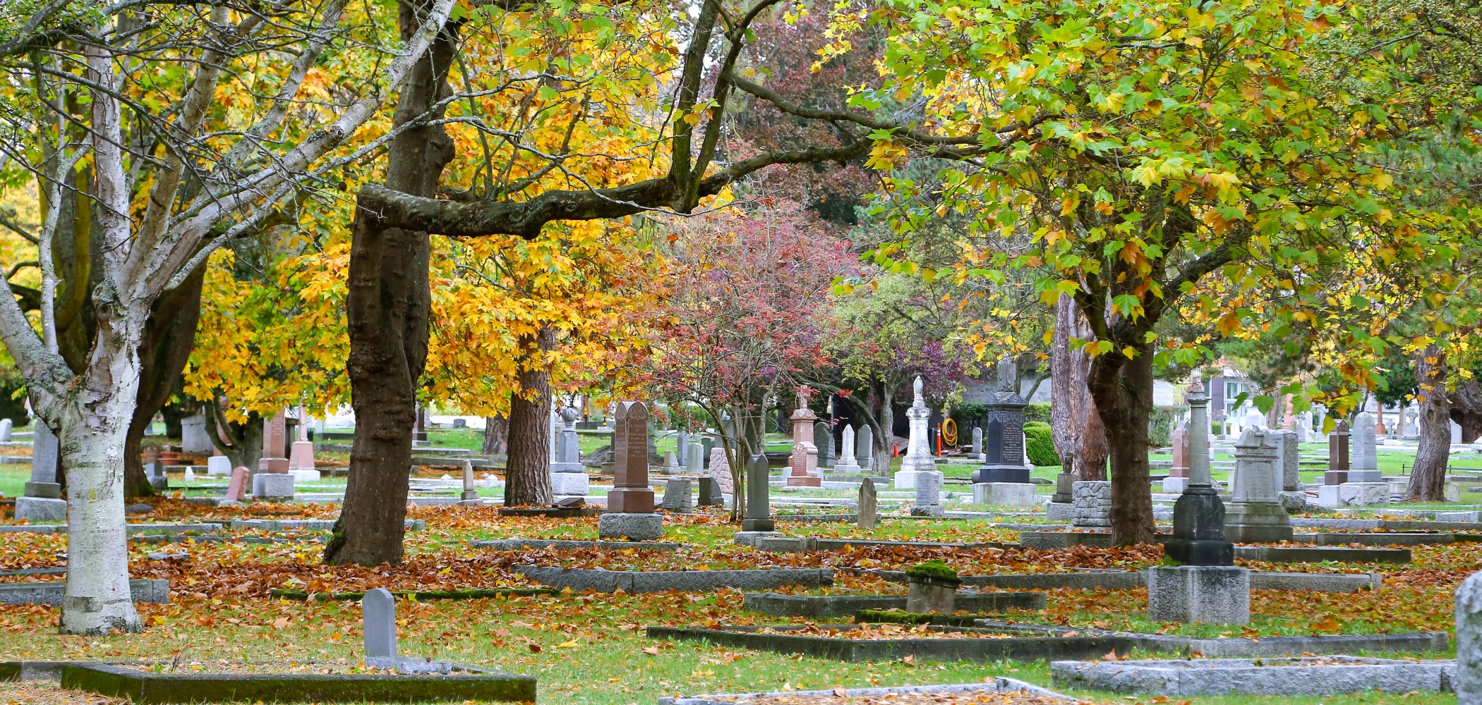 8 Ways to Embrace Halloween in Victoria