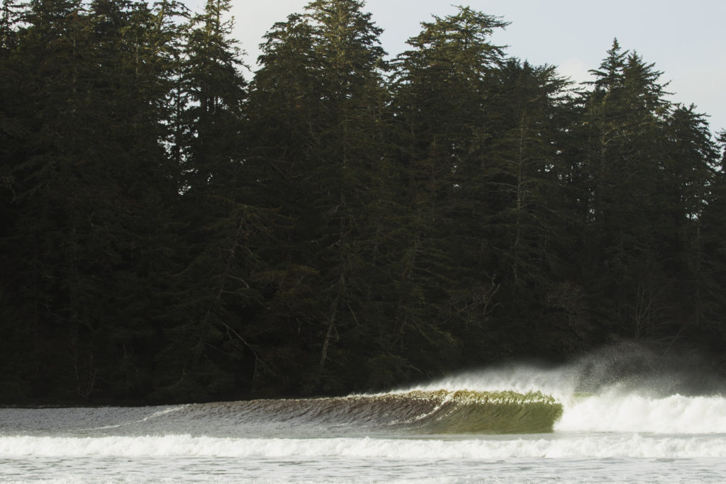 A large wave rolls past a dense forest.