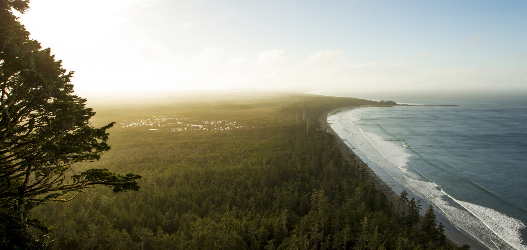 A Surfer's Road Trip to Haida Gwaii