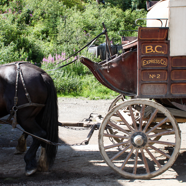 A stagecoach in Barkerville