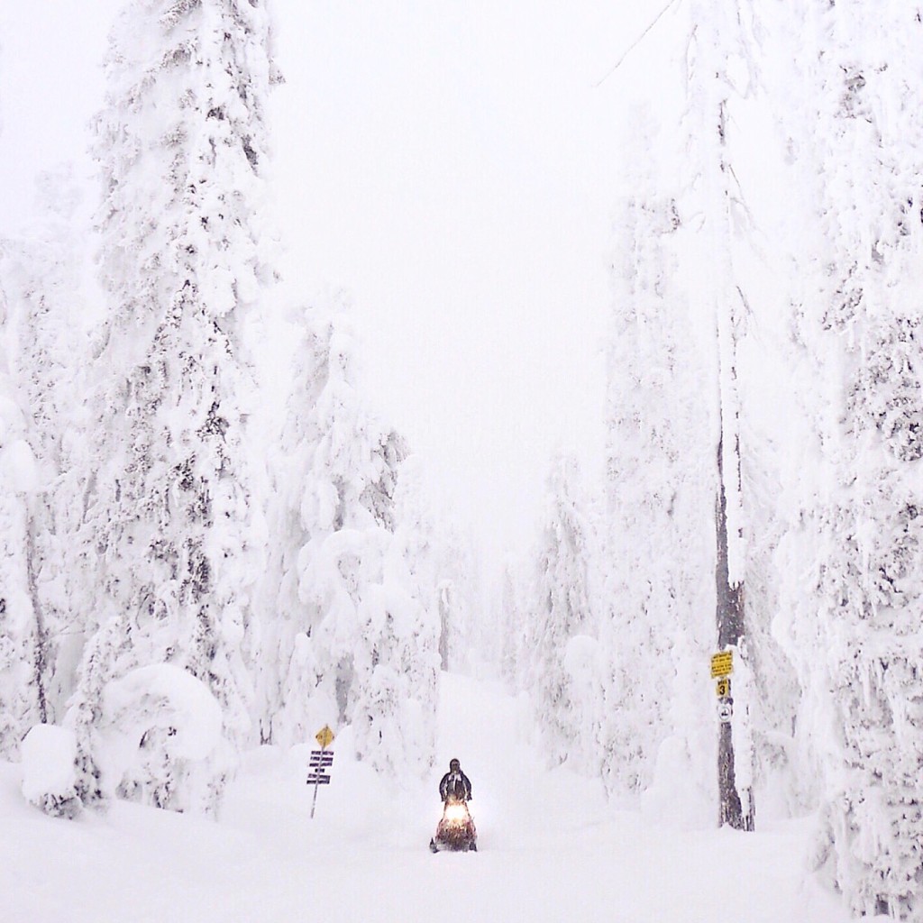Snowmobiling through the snow-covered trees of Revelstoke with Great Canadian Snowmobile Tours. Photo: @erinireland