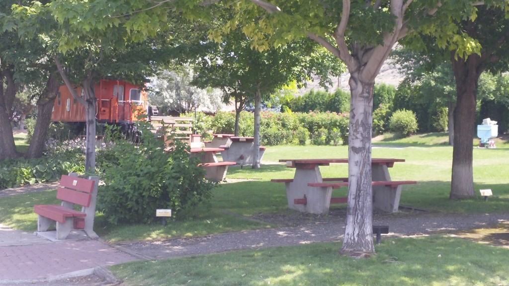 A lush park dotted with picnic tables.