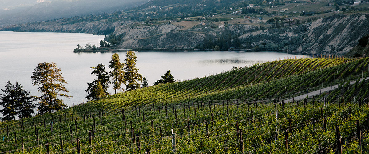 BC Road Trip: Mountains and Vineyards
