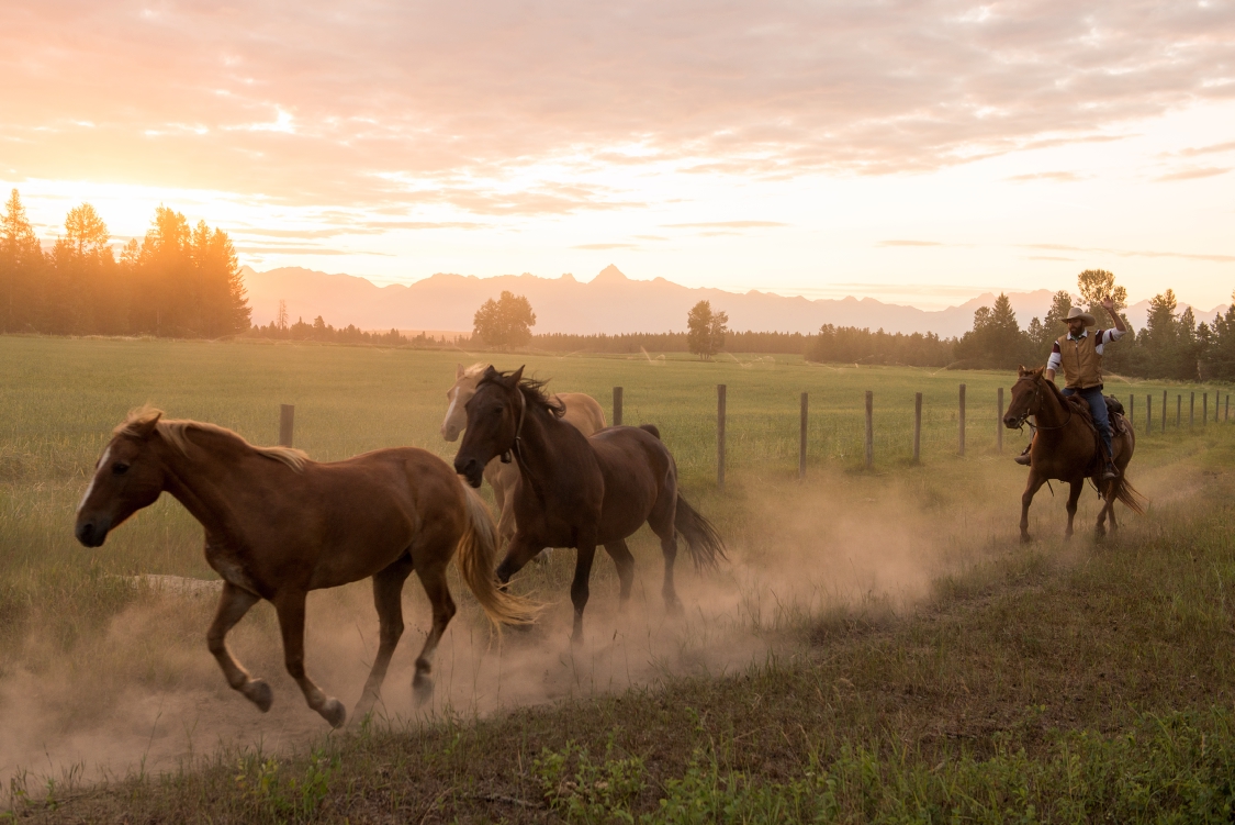 BC’s Guest Ranches: How to Choose the Right One for You