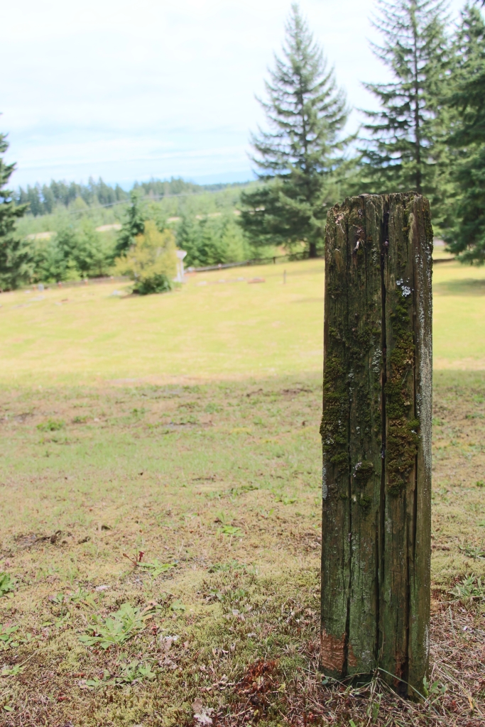 Cedar post marker at Chinese cemetery, Cumberland, Vancouver Island