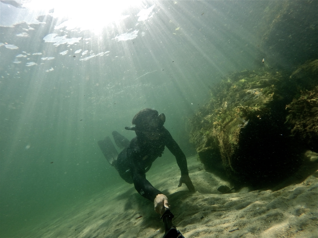 Underwater at Hornby Island