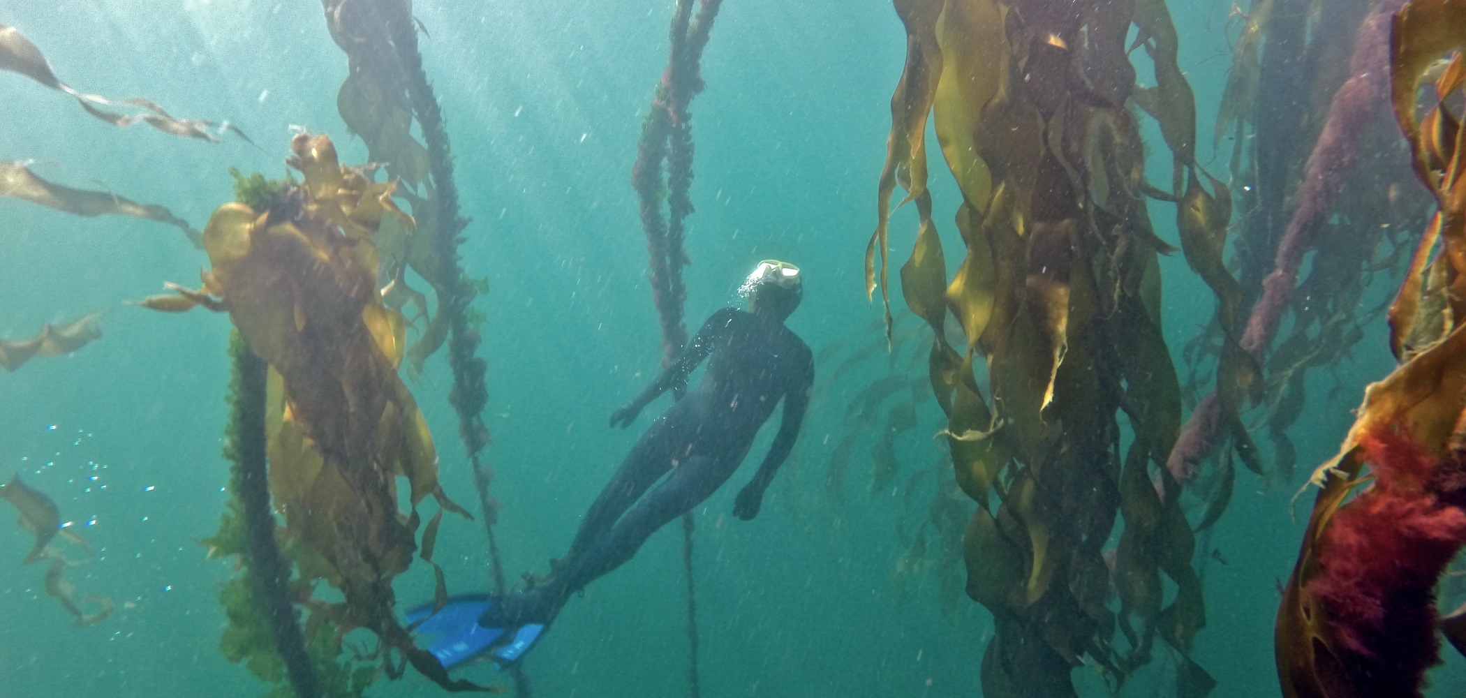 Deep Diving Adventures in BC with @CoastalBrandon