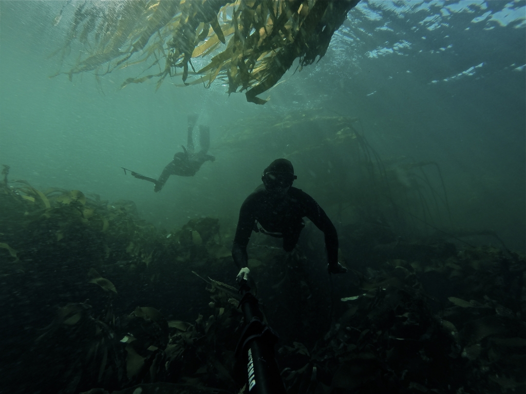 Underwater Divers at Trail Island