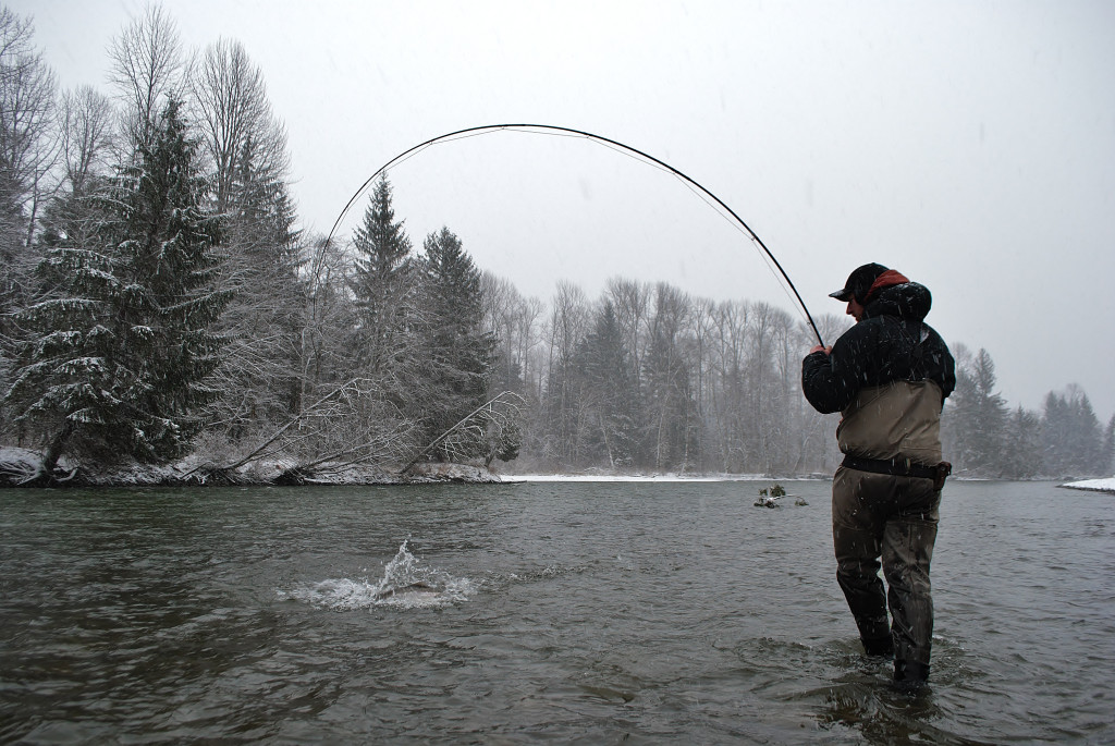 Steelhead fishing on a Skeena tributary in Northern BC. Photo: @adriennecomeau