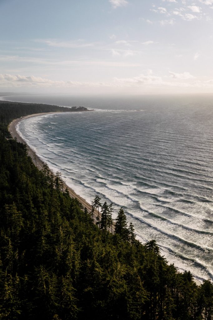 Haida Gwaii's windswept coastline. 