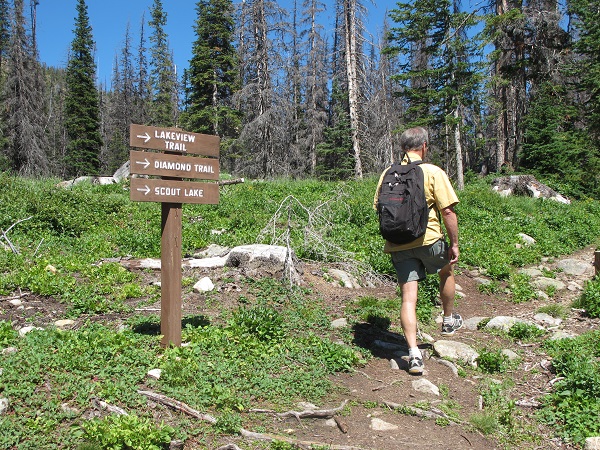 Well marked trails for hiking at Cathedral Mountain Park