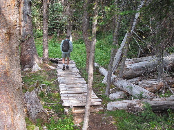 Well maintained trails with boardwalks and other features in Cathedral Mountain Park