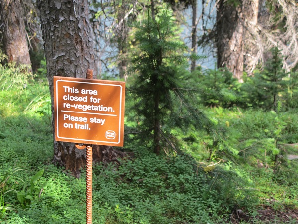 Respect the signs in Cathedral Mountain Park for future enjoyment