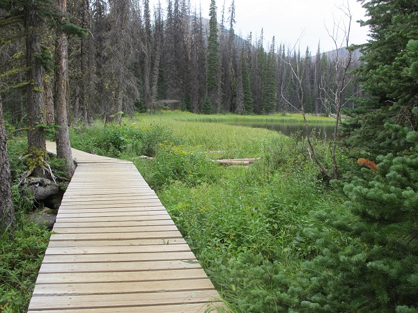 Intricate boardwalks protect marshlands in Cathedral Mountain Park