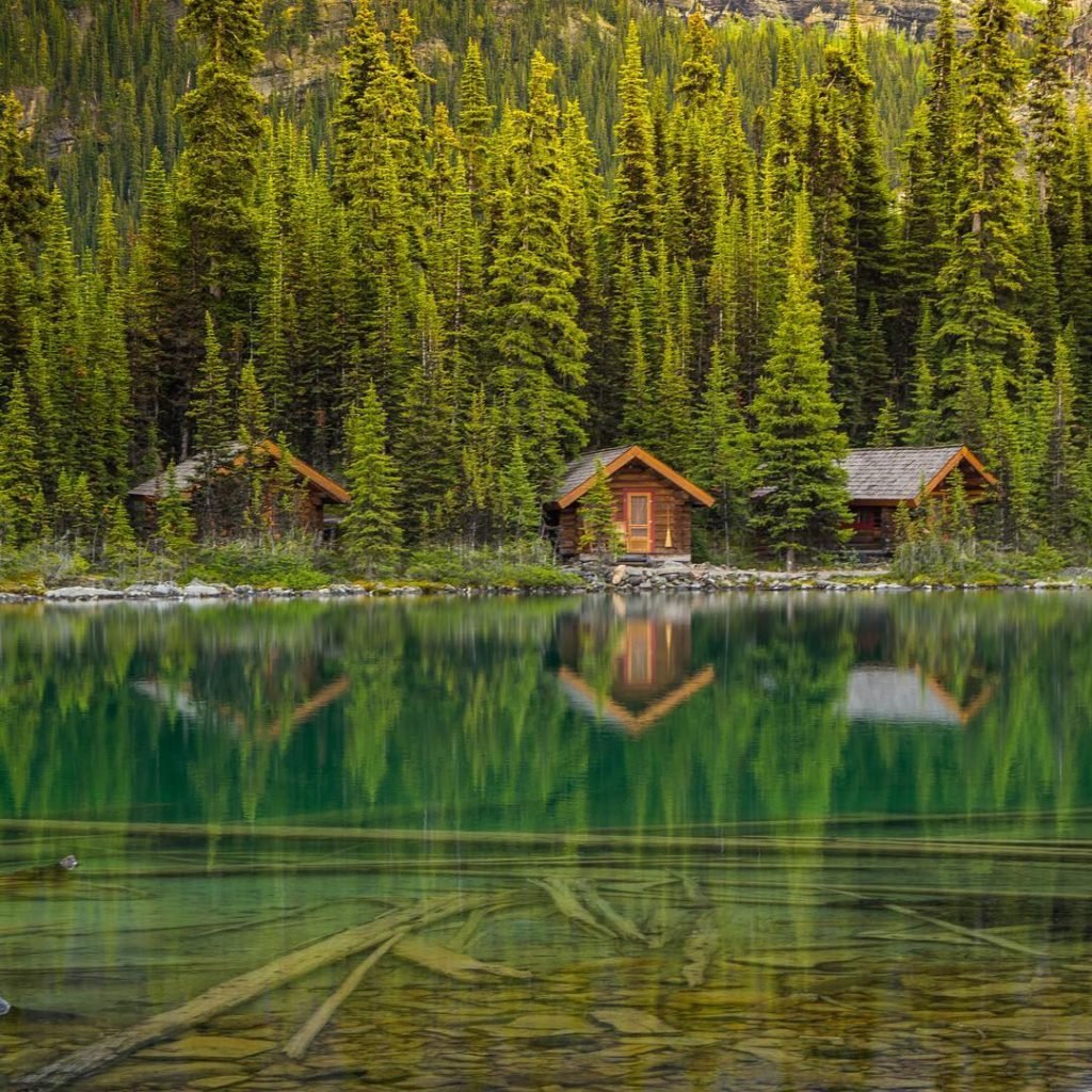 Traditional log cabins are nestled in a dense forest along placid waters.