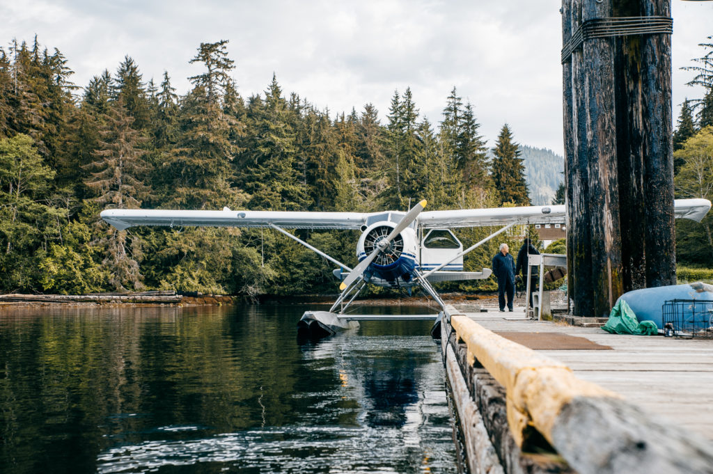 A seaplane is docked in a densely forested area.