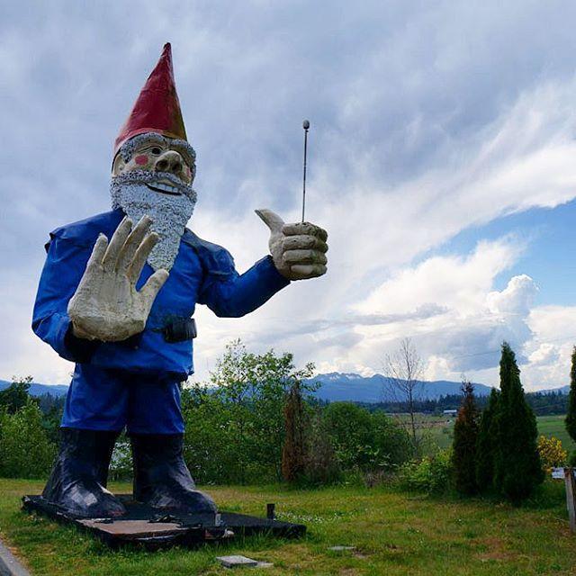 A statue depicting the world’s largest garden gnome.