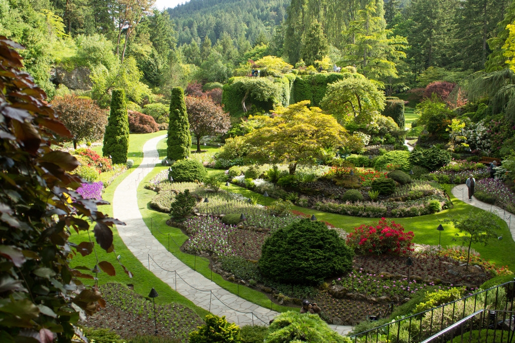 Top Places to View Springtime Flowers in Victoria - Explore BC