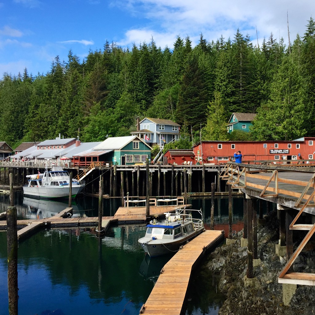 The bright colours of Telegraph Cove Resort, wooden docks, boats in the water and dense forest behind the resort.