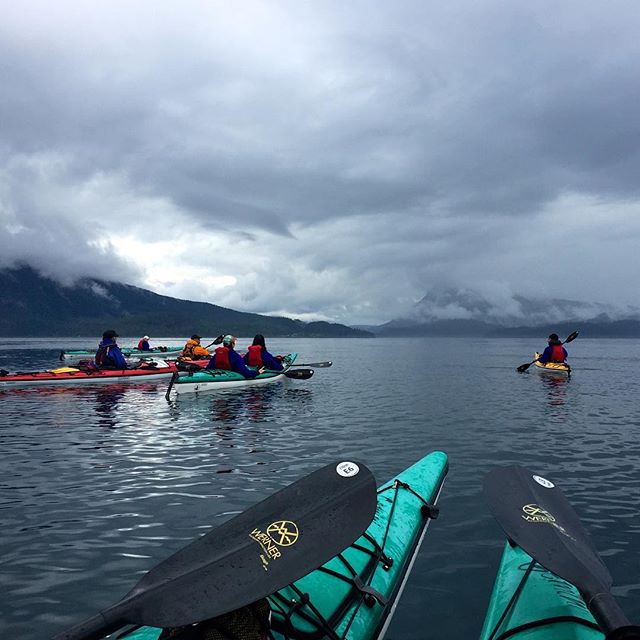 5 kayakers paddling in turquoise, yellow and red kayaks along the calm ocean in Port McNeil on Northern Vancouver Island with dark cloudy skies above. 