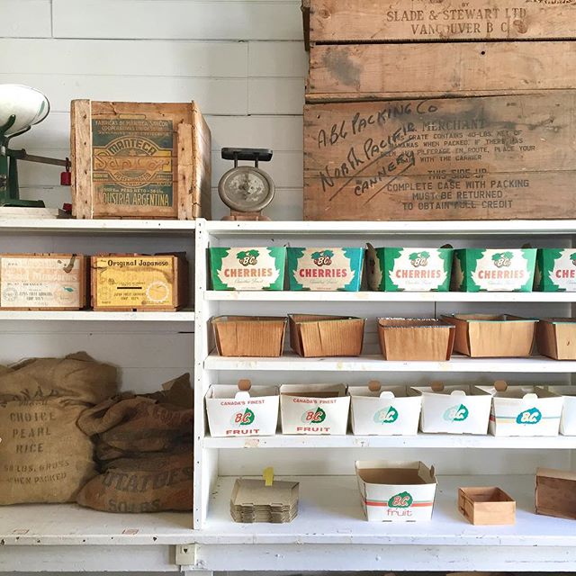 White, brown, yellow and turquoise fruit boxes and brown burlap sacks lining the shelves at the North Pacific Cannery. 