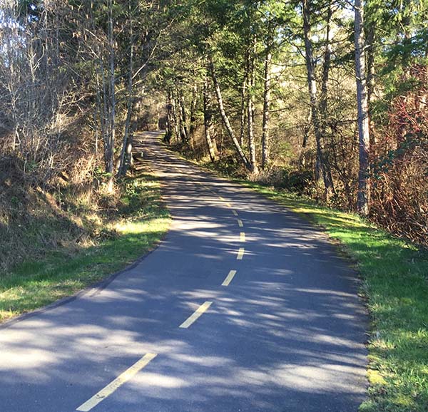 The paved Galloping Goose Regional Trail near Victoria, with a white dotted line down the middle and grass and trees on either side. .