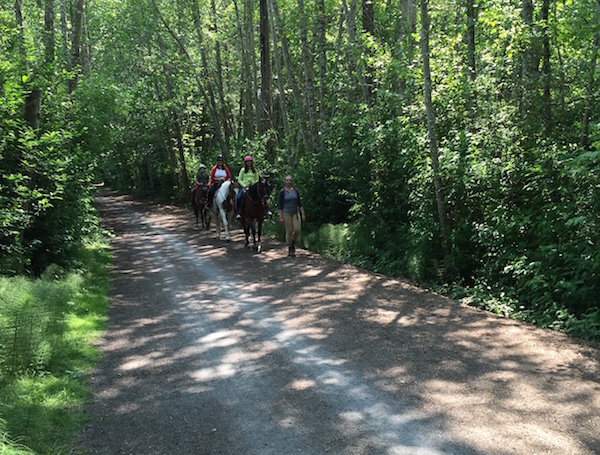 Three people riding horses toward the camera on the Lochside Regional Trail in Victoria, with one person walking beside the horses and dense green trees along both sides of the path.