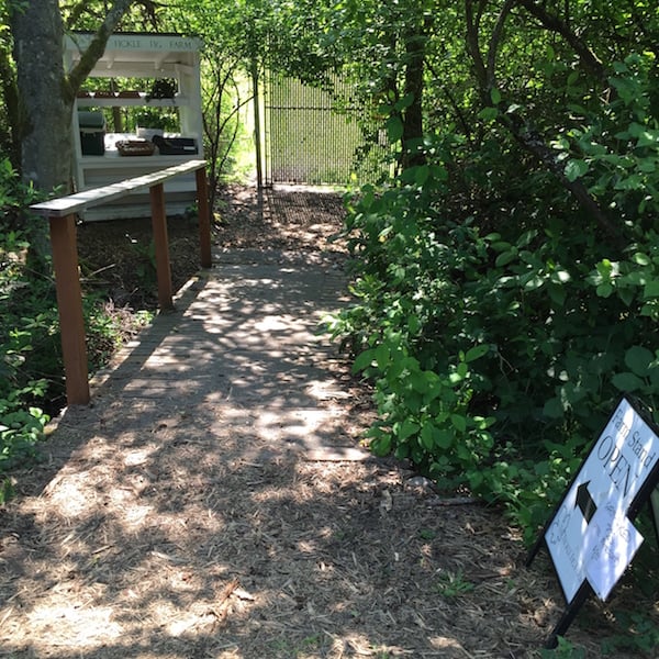 A trail-side farm stand just to the left of the Lochside Regional Trail where riders can stop to pick up a fresh bite to eat along their journey.