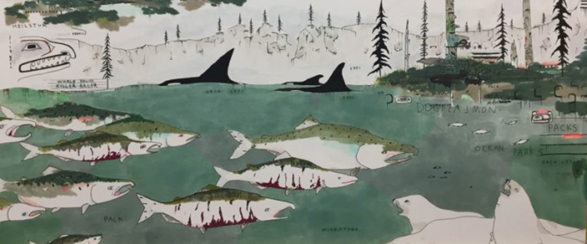 Where the Wild Things Are: An Illustrator’s Journey to Vancouver Island