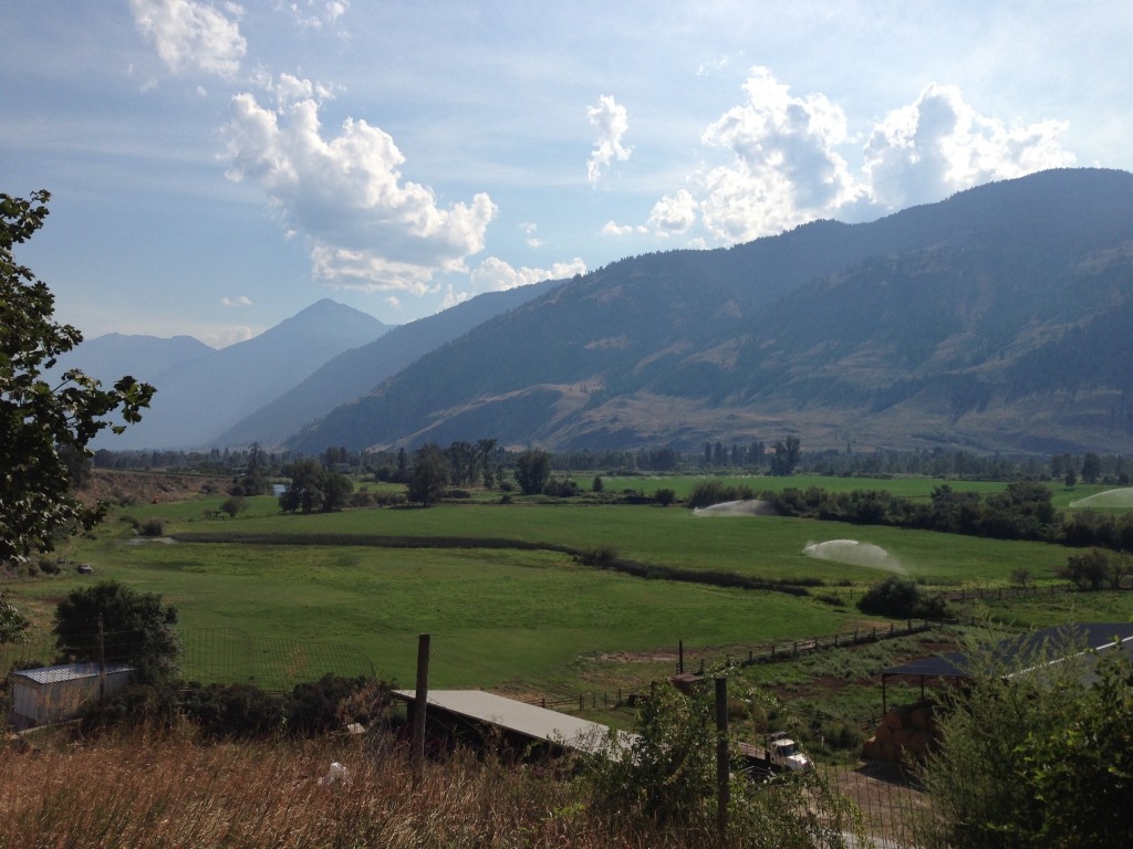 View from Forbidden Fruit Winery in Cawston, BC