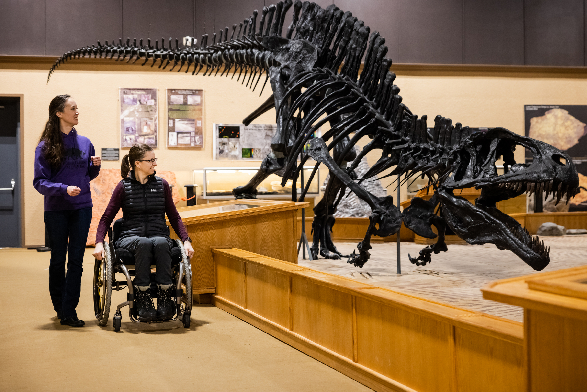 Two people view a dinosaur skeleton to learn more about Tumbler Ridge's archaelogical history.