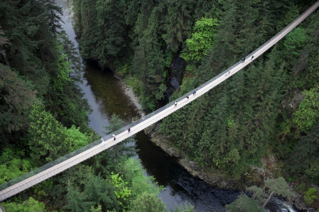 A foot bridge spanning to forested peaks