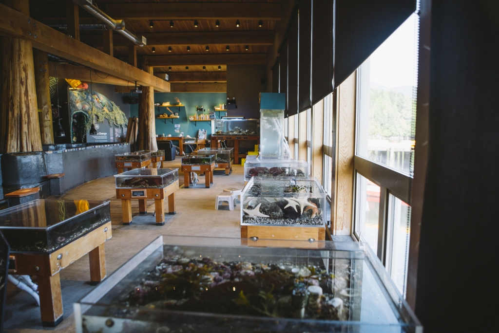Ucluelet Aquarium | Tourism Vancouver Island/Ben Giesbrecht