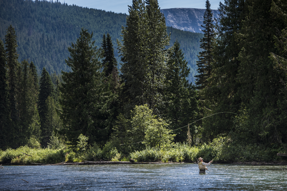 A man fly fishing in the river. He is casting his line out into the water and surrounded by trees.