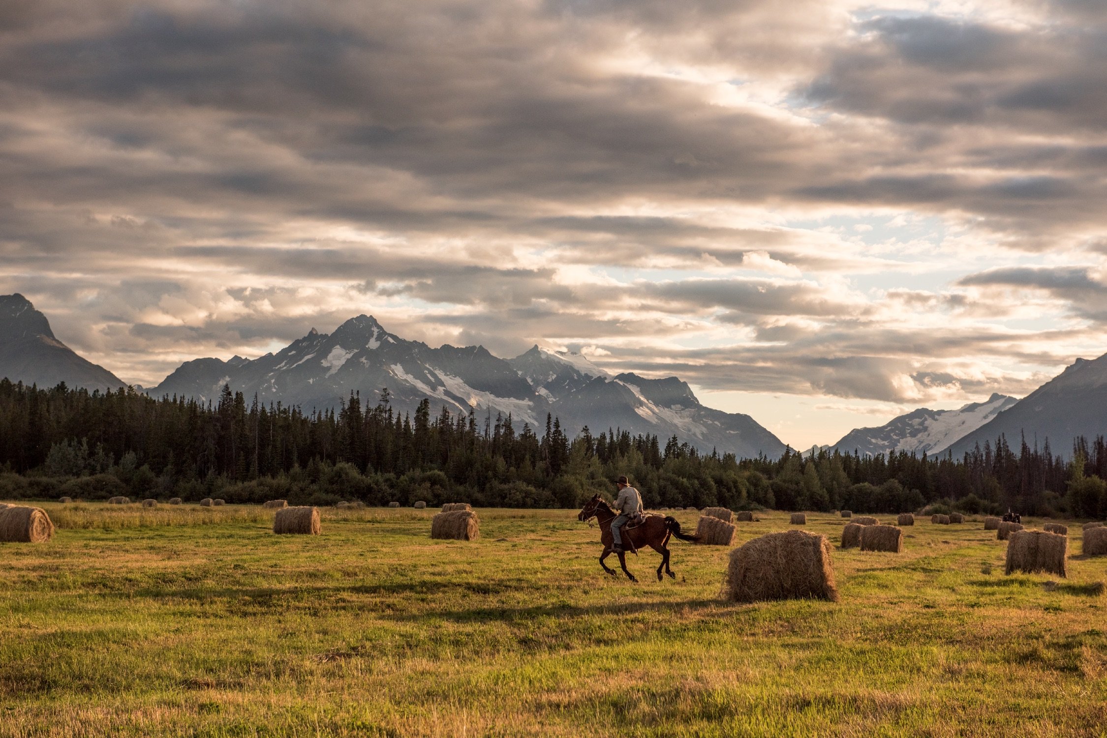 A man rides a horse across a field with mountains in the background