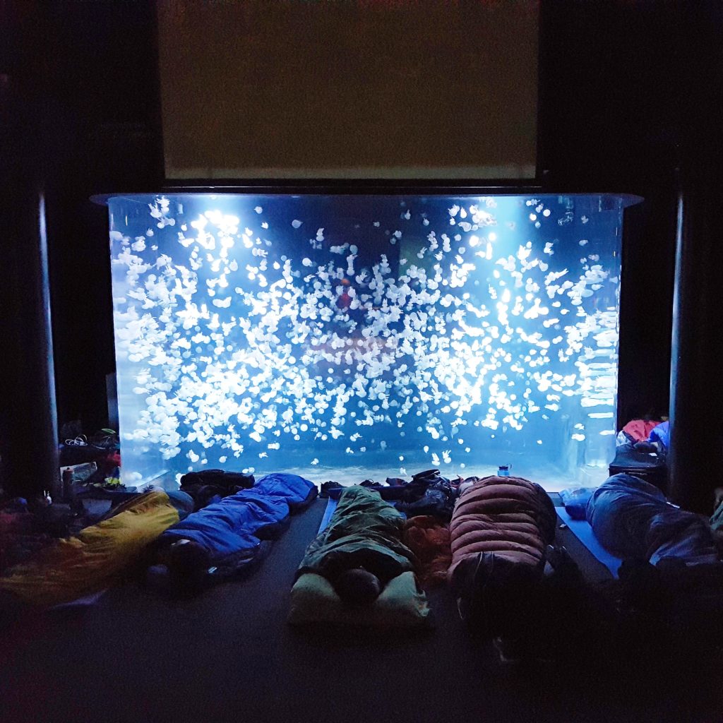 People in sleeping bags in front of a display at the Vancouver Aquarium