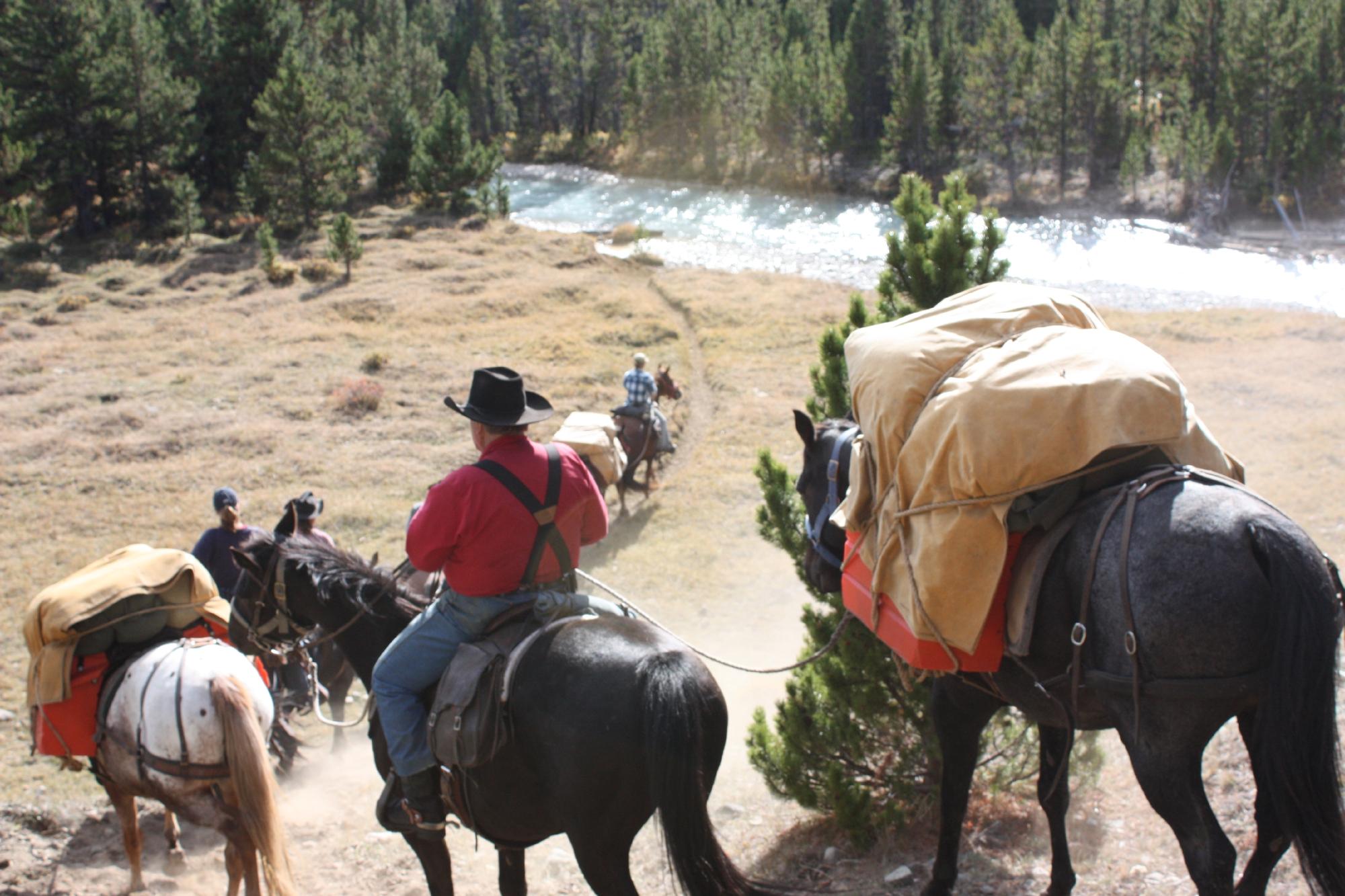 A group of riders on horses descend a trail towards a river. The horses are carrying large packs on their backs.