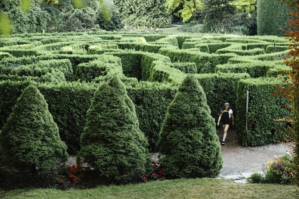 The Elizabethan maze at VanDusen Botanical Garden in Vancouver. 