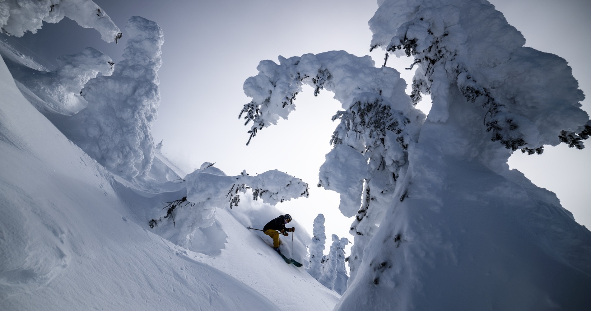 One skier in deep powder seen through the trees heavy with snow at Revelstoke Mountain Resort