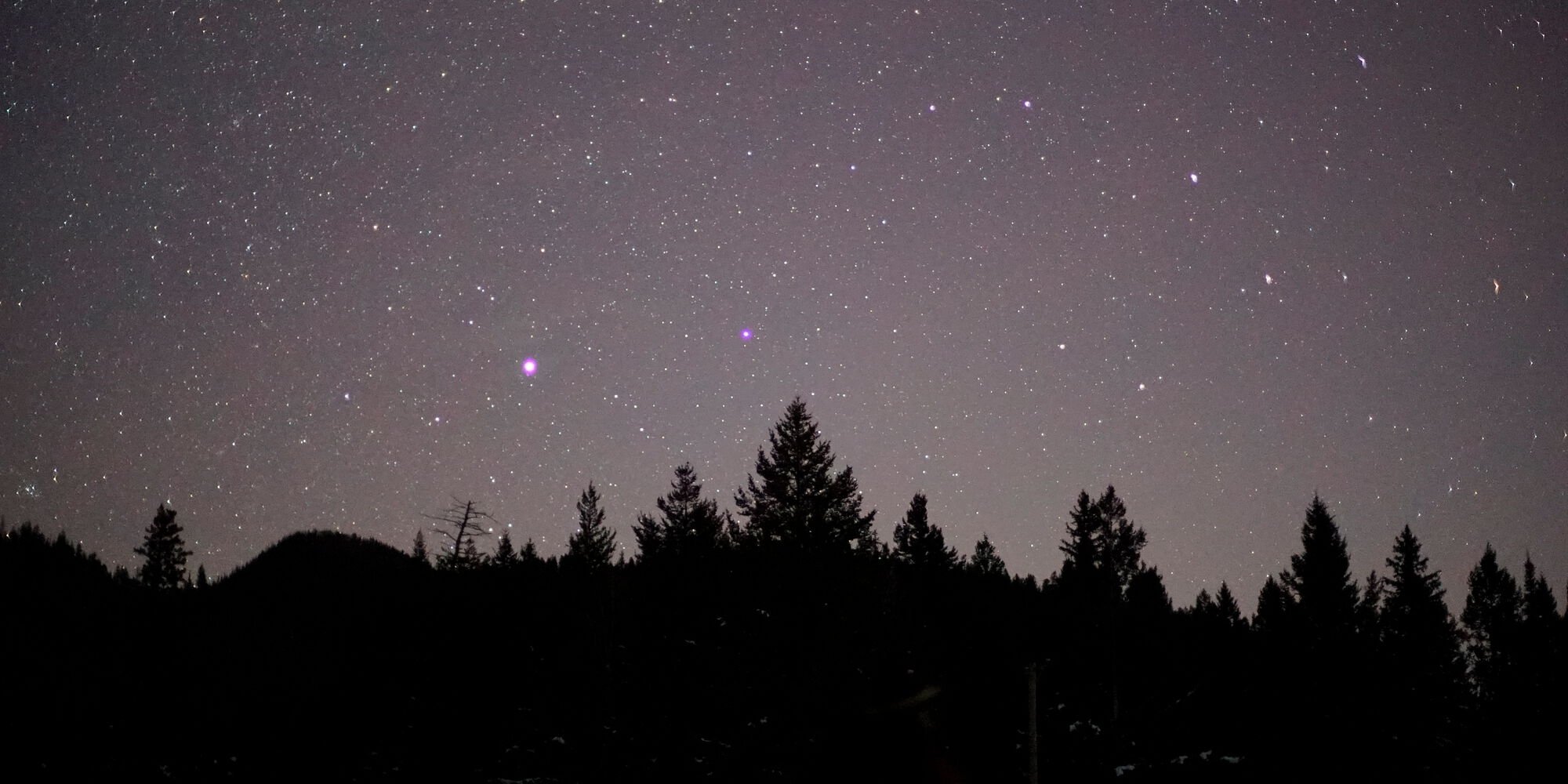 The bottom of the frame shows the silhouette of evergreen trees at night, and above them is a dark sky filled with stars