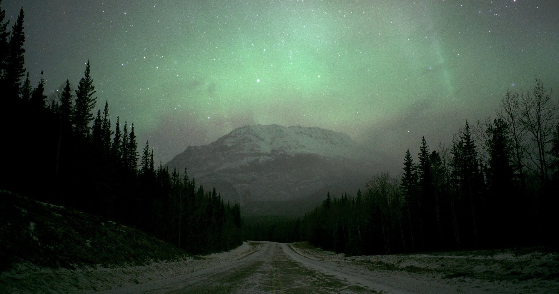 Northern Lights in the Northern Rockies | Ryan Dickie