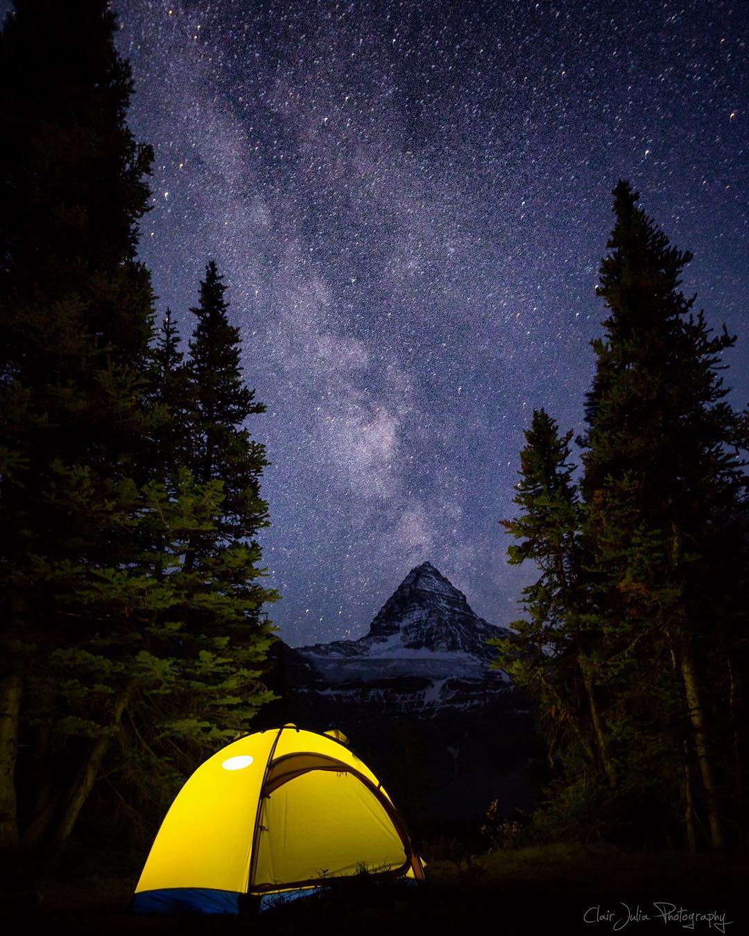 A yellow tent lit from inside sits in the foreground surrounded on both sides by evergreen trees. Behind, in the distance, the distinct triangular peak of Mt. Assiniboine can be seen. The sky is filled with stars, and the Milky Way is visible.