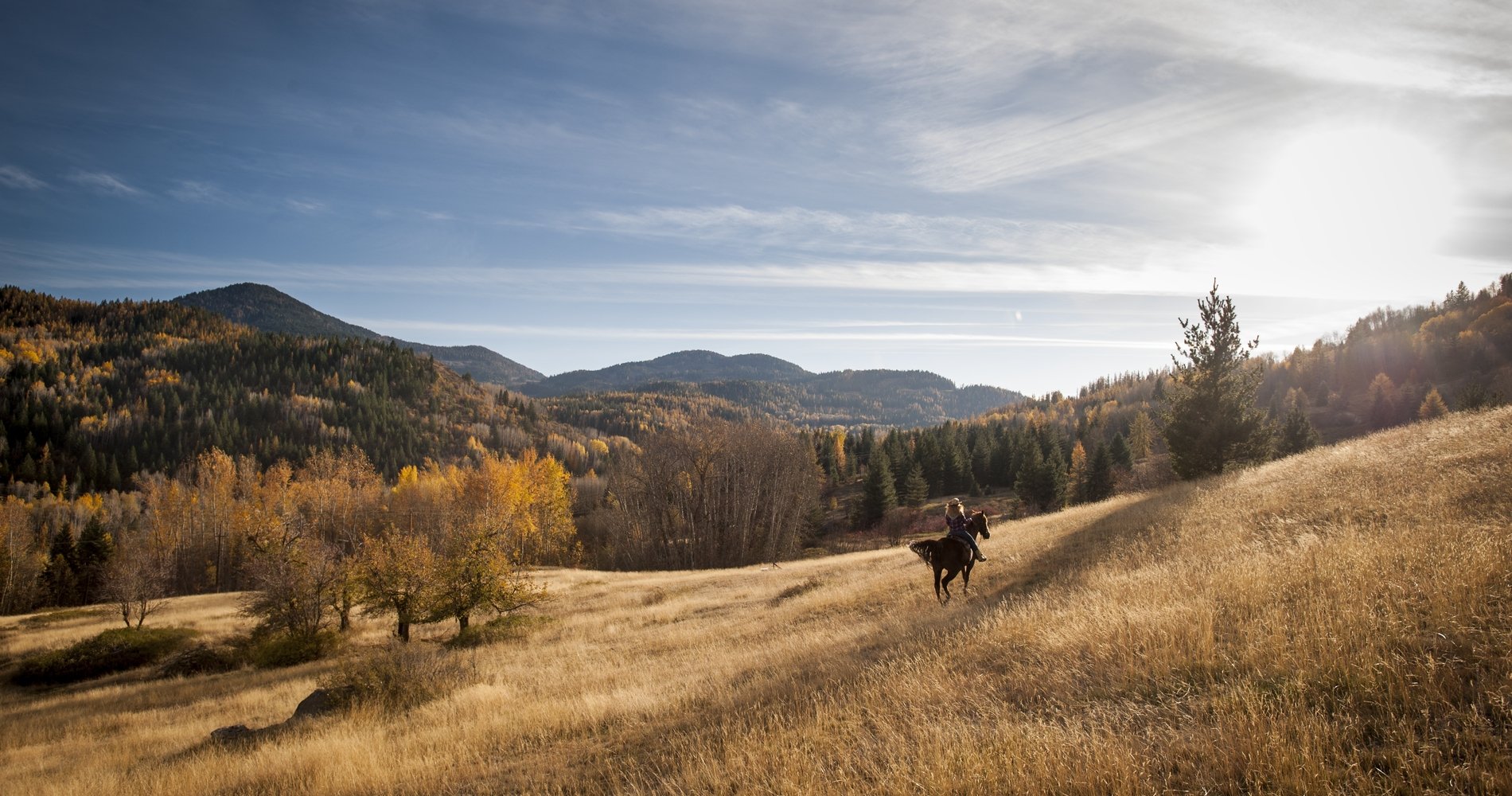 A person is horseback riding through a grassy field in the fall in Rossland