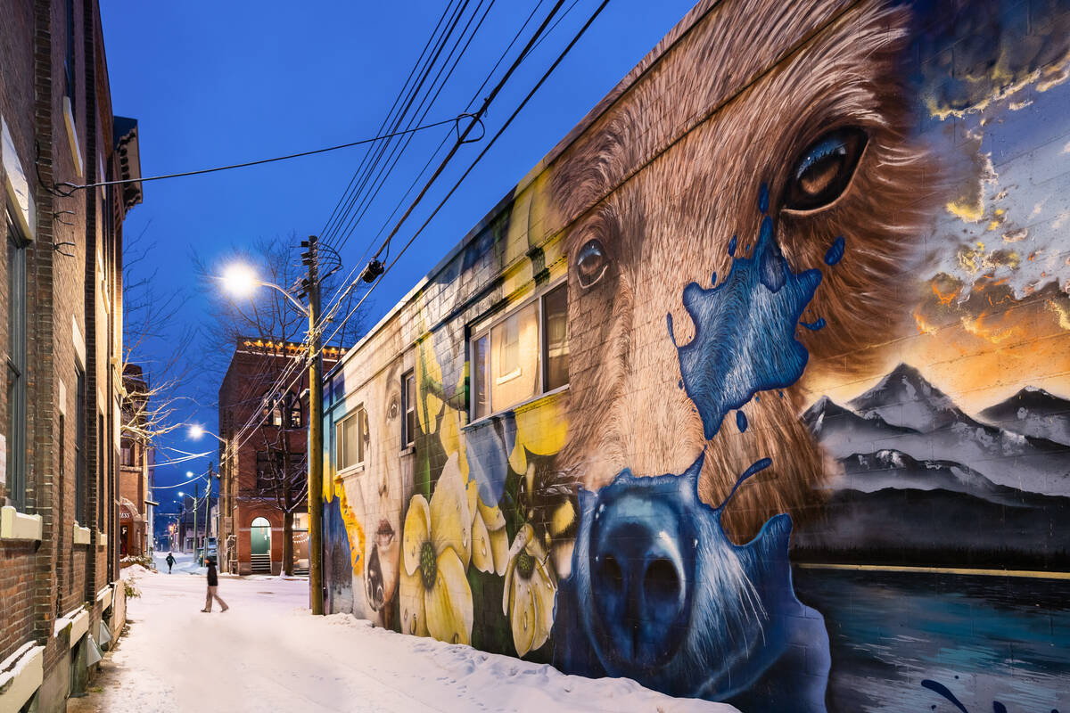 A painting of a bear's face is in the centre of a street mural in snowy Nelson, with mountains and a lake painted to its right.